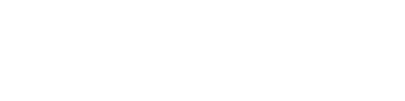 Sanbrains "Digital Marketing Agency" Logo