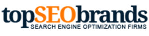 topseo-brands-1-300x74